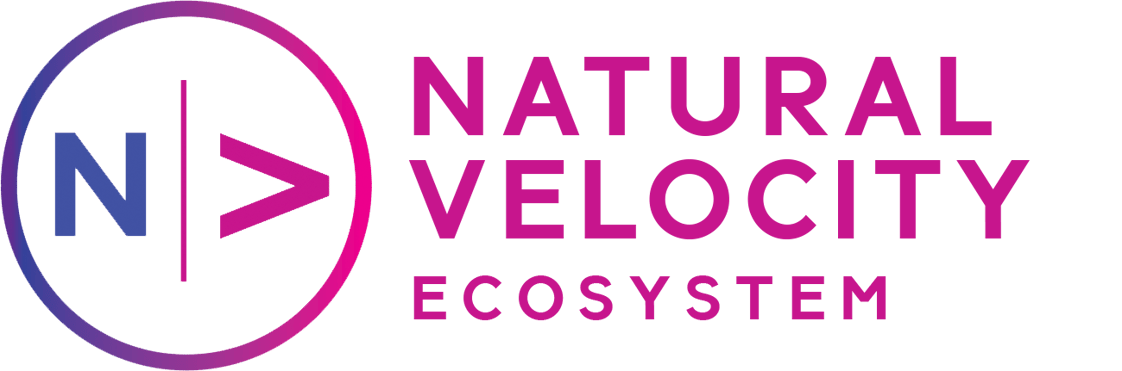 Natural Velocity Ecosystem Logo all in purple